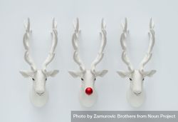 Decorative mounted head of reindeer with red nose 5ppgy5