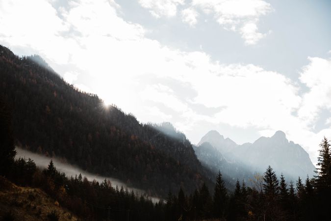 Big mountains near pine forest on cloudy weather