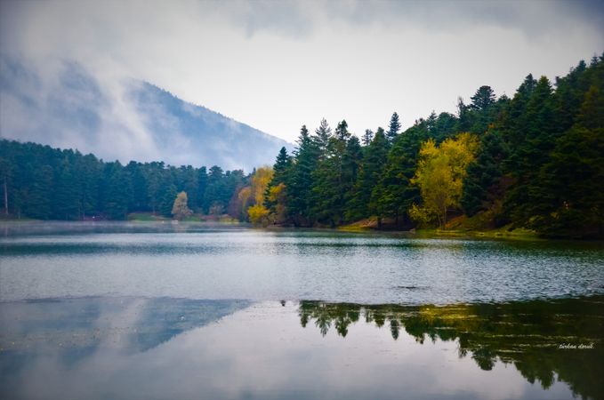 Reflection of forest on lake