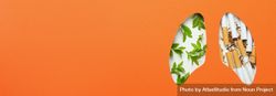 Banner of lung shape cut out of orange paper with cigarettes and foliage 5lJZab