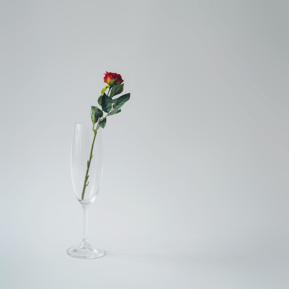 Champagne glass with red rose