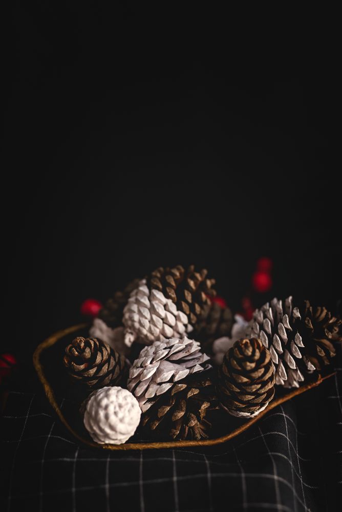 Painted conifer cones in bowl