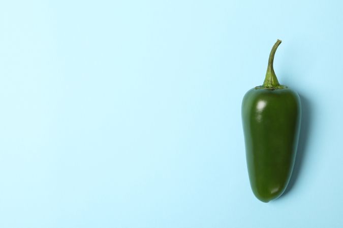 Fresh green pepper on blue background, space for text