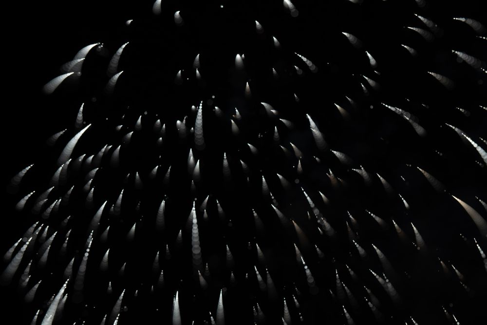 Bright fireworks on night sky