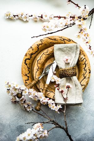Spring floral concept with top view of apricot blossom branches surrounding brown plates on grey table