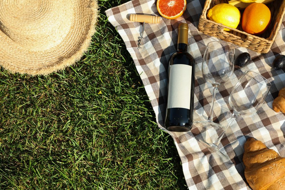 Picnic composition with wine and food against green grass, space for text