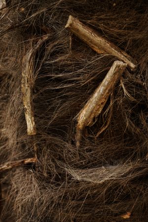 Thin tree sticks and dirty wool
