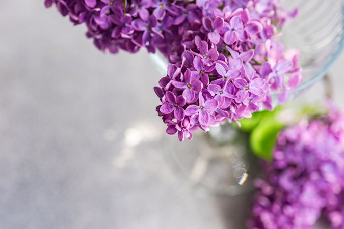 Spring table setting with fresh lilac flowers