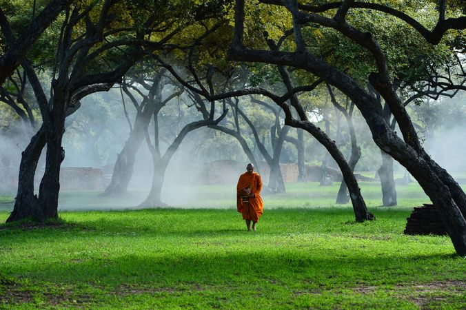 Buddhist monk standing between trees