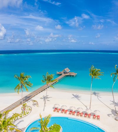 Palm trees, pool and pier on a beach resort in the Maldives