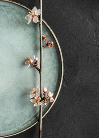 Top view of spring table setting with blooming tree branch on ceramic plate