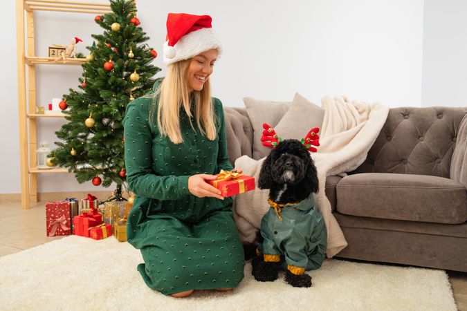Concept of Merry Christmas, young woman and Toy poodle in Christmas decorated room
