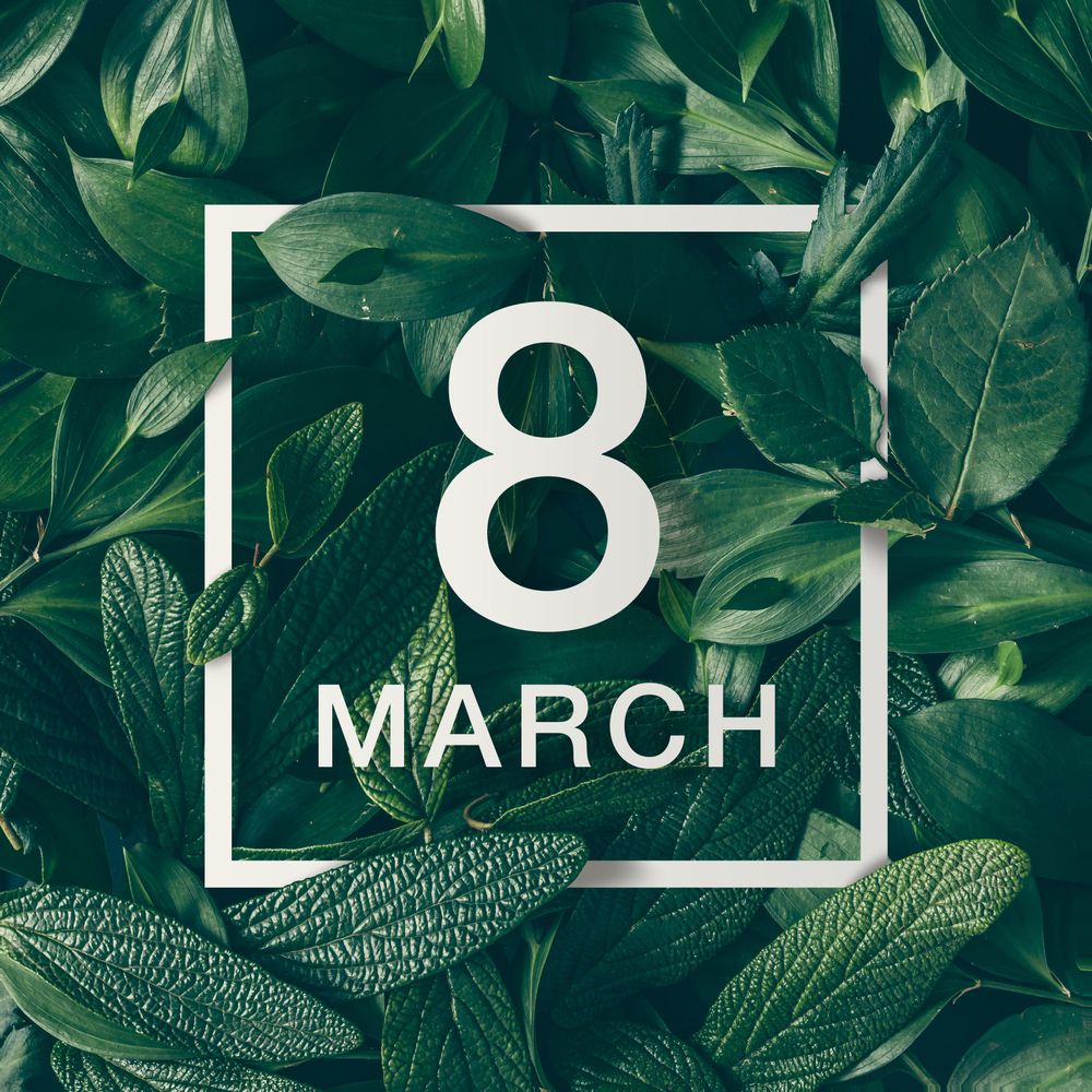 Green leaves layout with light frame with the words “8 MARCH”