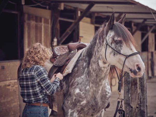 Unrecognizable woman putting on saddle on horse