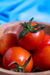 A bunch of red tomatoes are on a wooden table