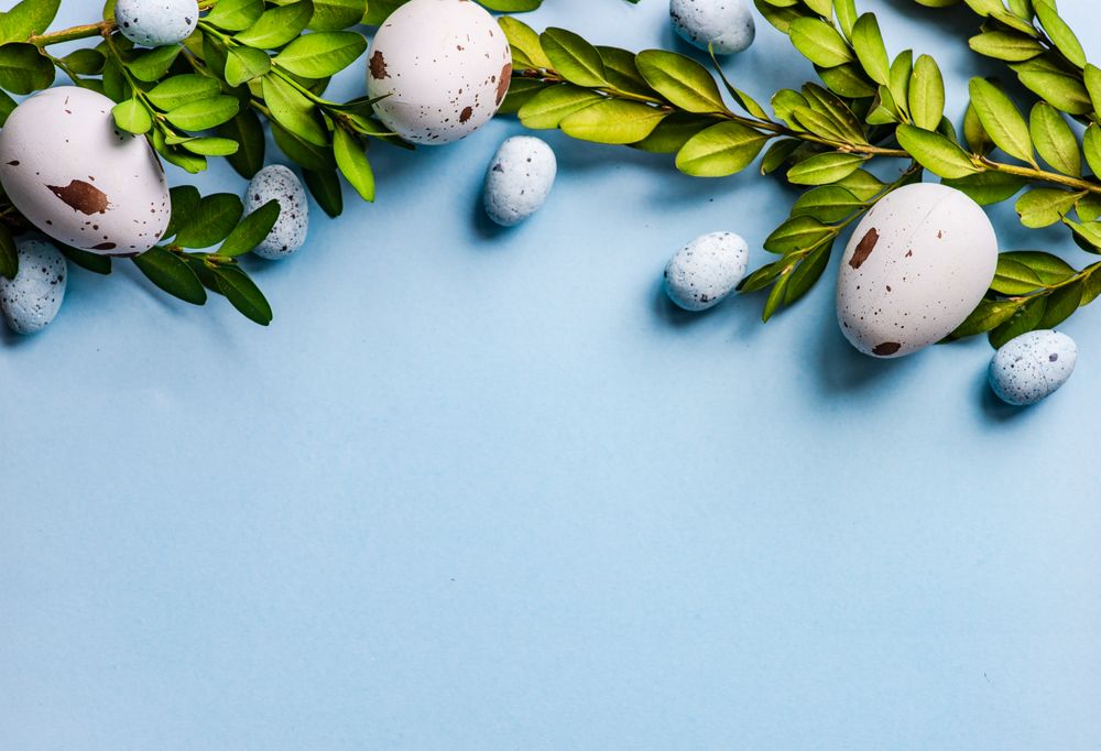 Easter holiday card with spotted eggs and branch on pastel blue background