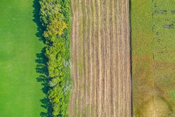 Different fields as seen from above