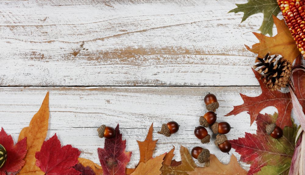 Right and bottom side borders of autumn decorations on rustic wooden boards