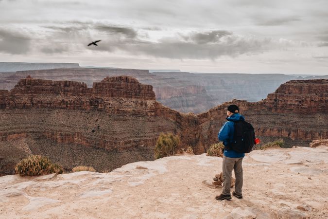 Calm male looking at pictorial landscape