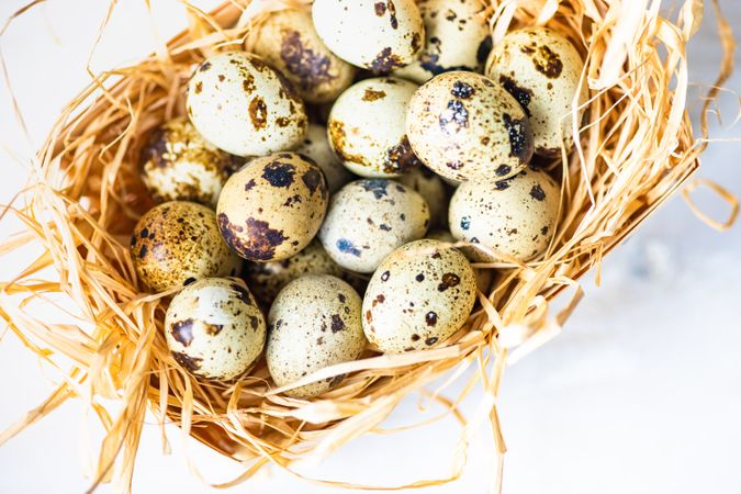 Easter card concept with speckled eggs in hay