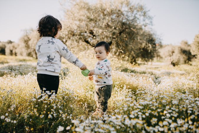 Brother and sister in a daisy field