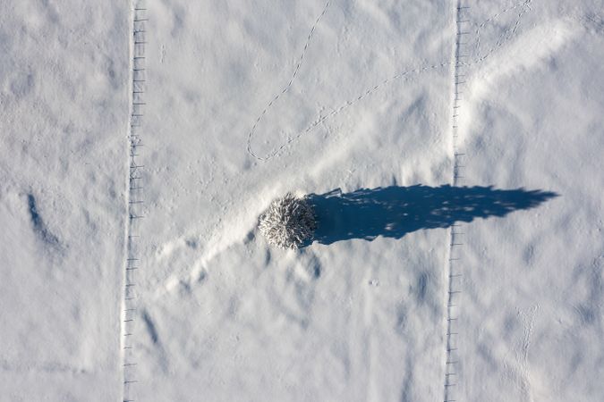 Fir tree minimalist on a snow-covered valley, aerial image in the Bavarian Alps, Germany
