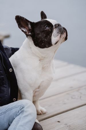 young girl with dog on pier