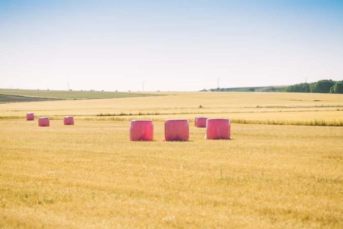 Bales wrapped with pink plastic