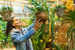 Content Hispanic woman choosing potted plant
