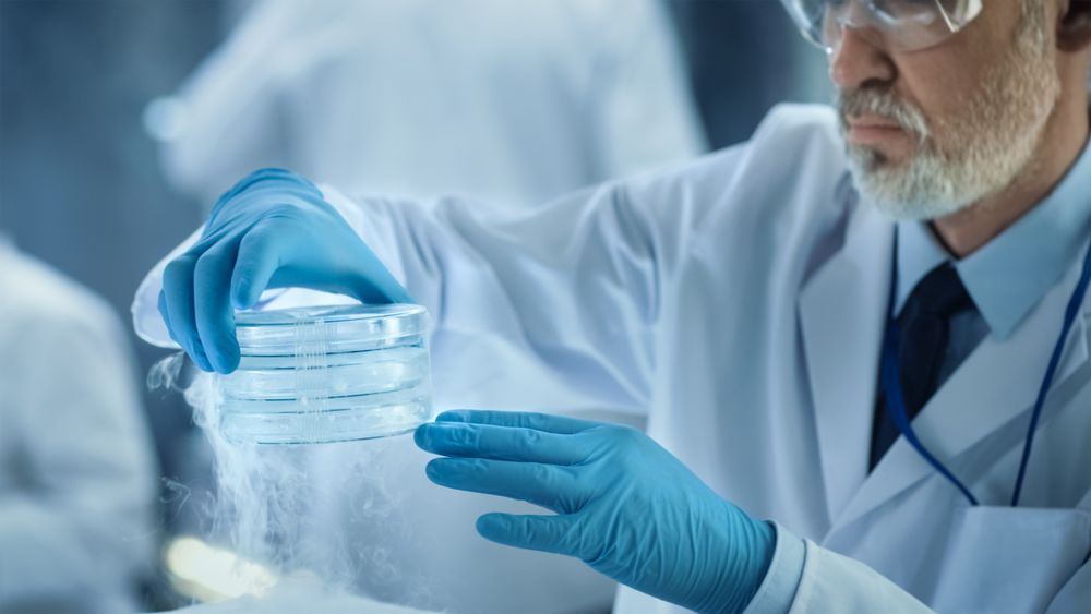 Close-up of a Medical Research Scientist Holds Cold Petri Dish with Samples.