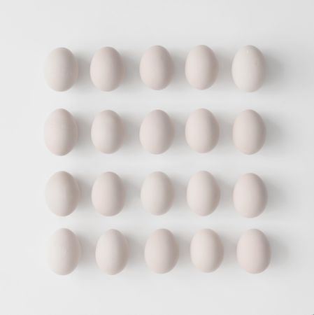 Rows of eggs on light background