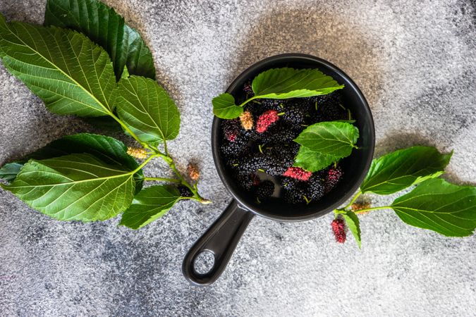 Top view of mulberry in a pan