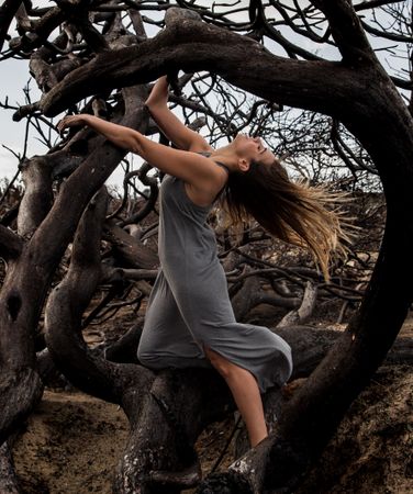 Woman posing on twigs of dry trees