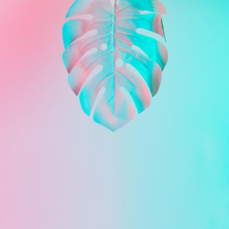 Tropical leaf in vibrant bold gradient holographic colors