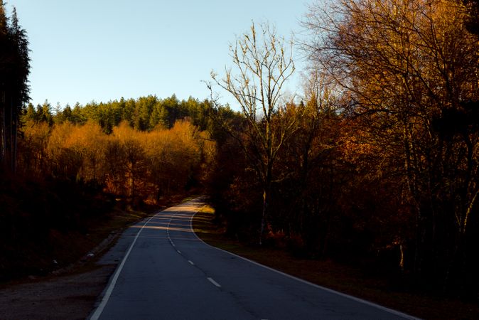 Asphalt road in autumn countryside