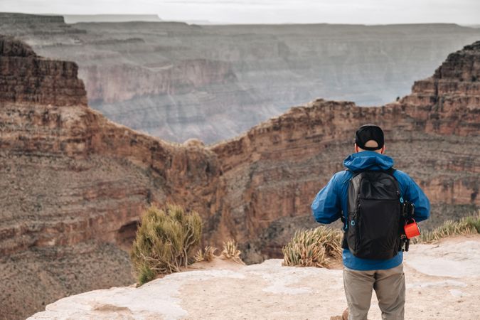 Calm male looking at pictorial landscape