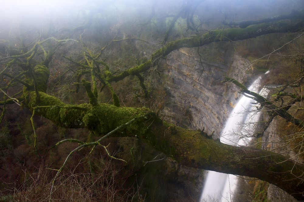 Autumn tree and waterfall