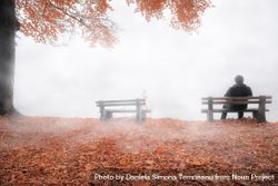 Man on bench shrouded by mist in autumn decor 0LORRb