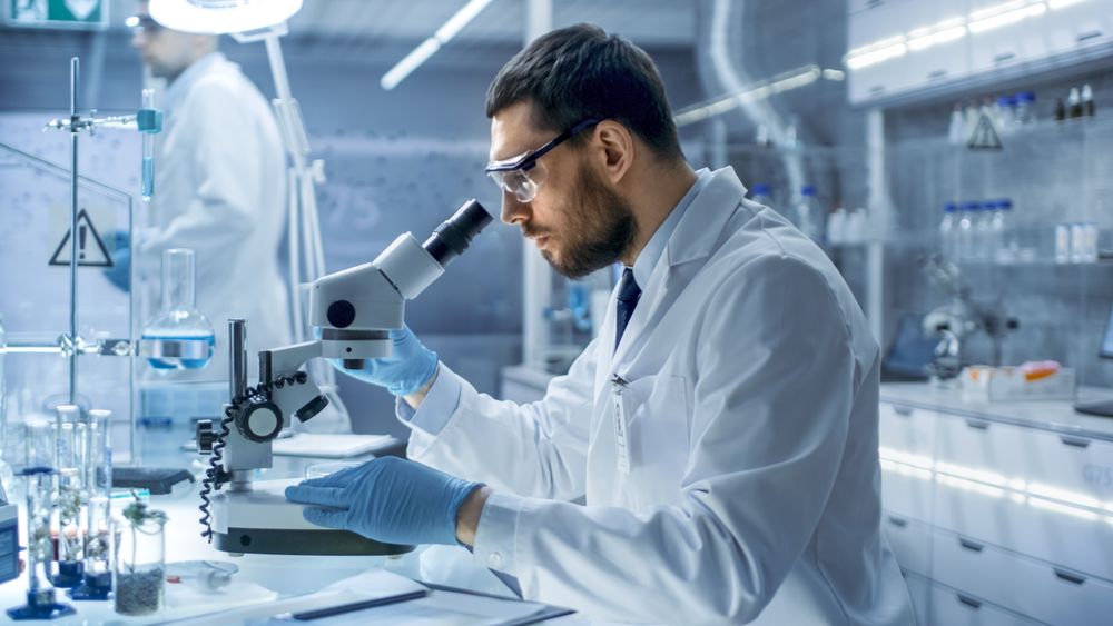 In a Modern Laboratory Research Scientist Conducts Experiments with Organic Materials.