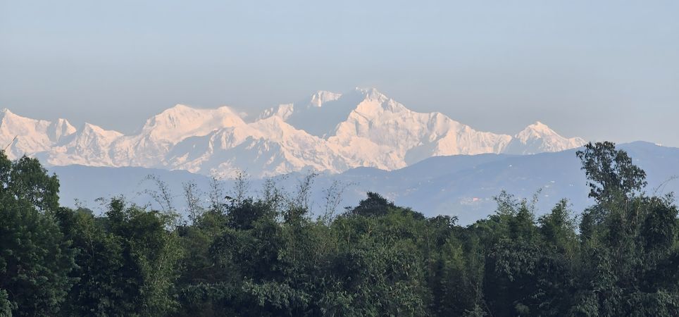 Snowy mountains rise above lush trees