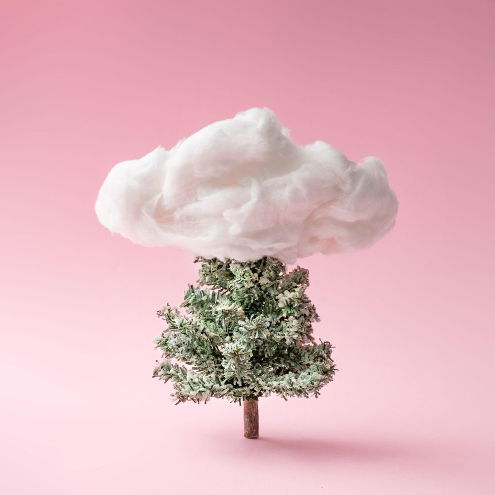 Snowy Christmas tree with cloud on pink background