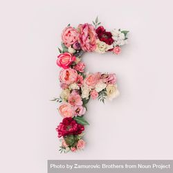 Letter F made of real natural flowers and leaves 0ym8a0