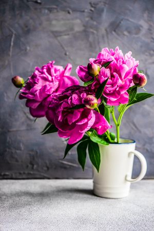 Summer interior decor with flowers in mug
