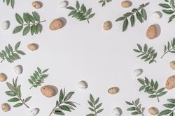 Green branches and brown eggs scattered on light  background