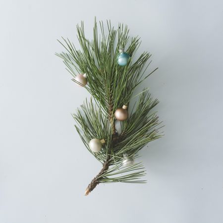Pine tree branch with Christmas bauble decorations