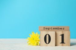 Wooden calendar with September 1 and chrysanthemum on wooden table, space for text