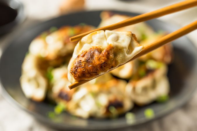 Asian Dumpling Pot Stickers Gyoza