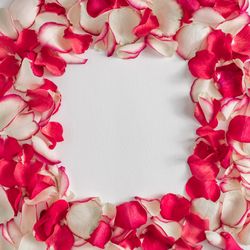 Border of made of rose petals