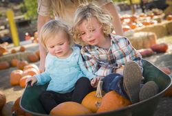 Young Family Enjoys a Day at the Pumpkin Patch