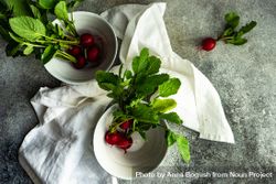 Top view of fresh radishes in bowls 4OdOja